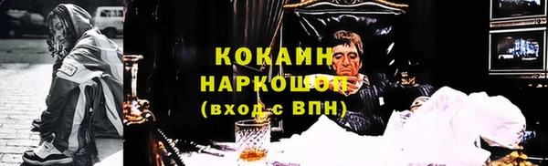 индика Переславль-Залесский
