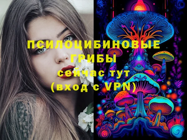 Альфа ПВП Алзамай