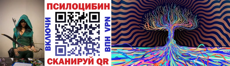 это телеграм  Канаш  Галлюциногенные грибы GOLDEN TEACHER  цены  