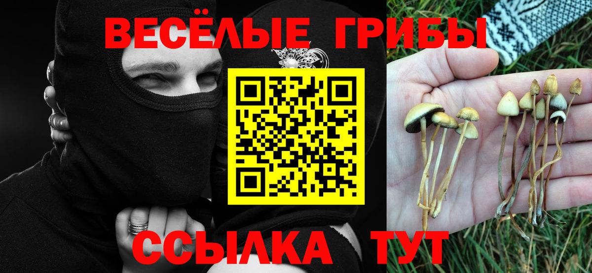 Псилоцибиновые грибы ЛСД Канаш