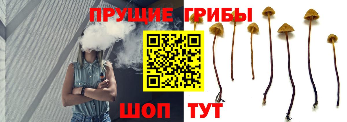 Галлюциногенные грибы GOLDEN TEACHER  Вход с VPN  Канаш 